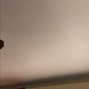 Meet your Posher, Luis